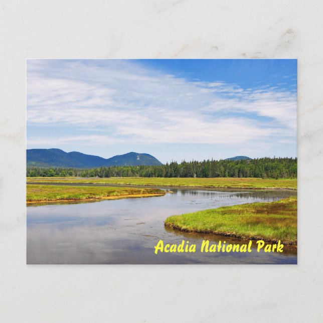 Bass Harbour Marsh Postcard Postkarte (Vorderseite)