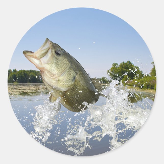 Bass Jump 2013 Runder Aufkleber (Vorderseite)