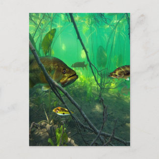 Bass Postkarte