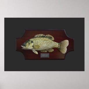 Bass Trophy Plaque Poster