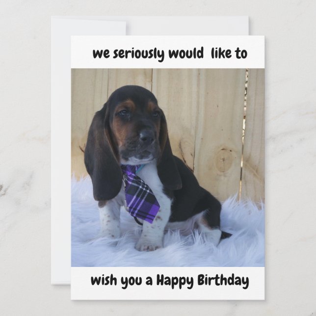 Basset Happy Birthday Card (Vorderseite)