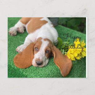 Basset Happy Geburtstagskarte Postkarte