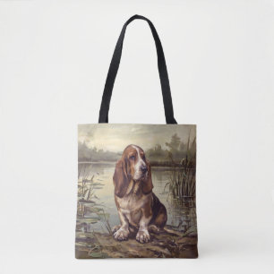 Basset Hound