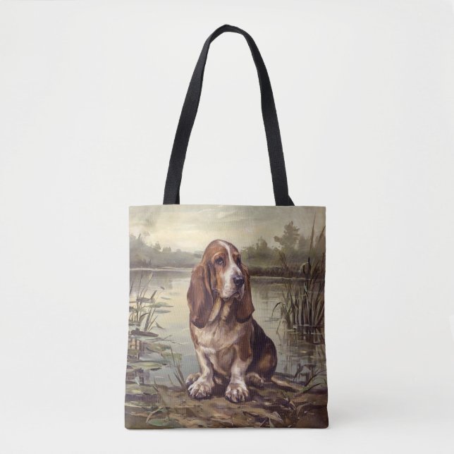 Basset Hound (Vorderseite)