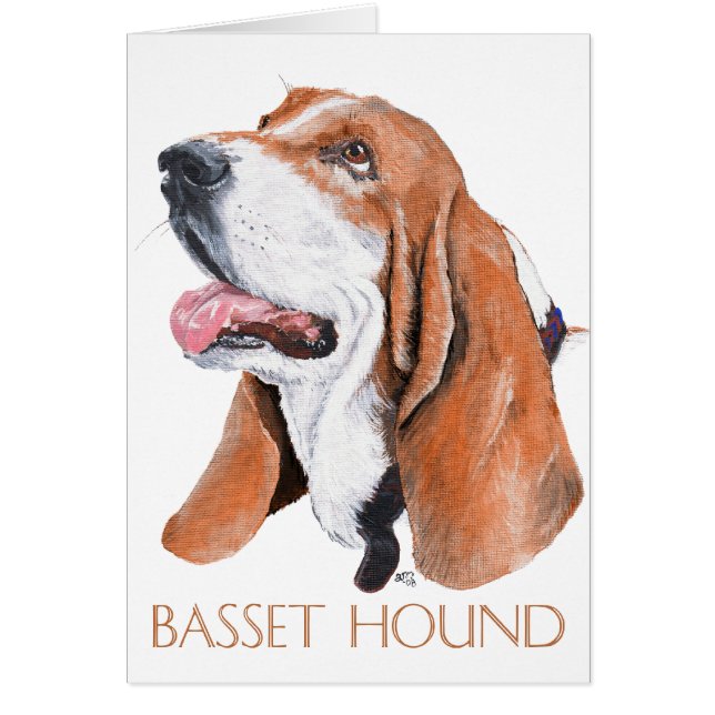 Basset Hound (Vorne)