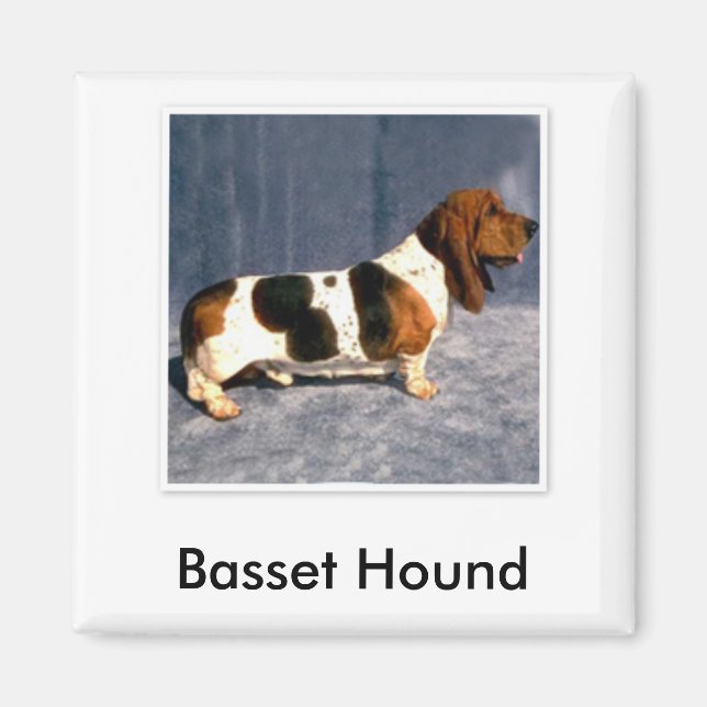 basset_hound 2, Basset Hound Magnet (Vorne)