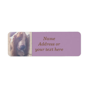 Basset Hound-Adressen-Etikett