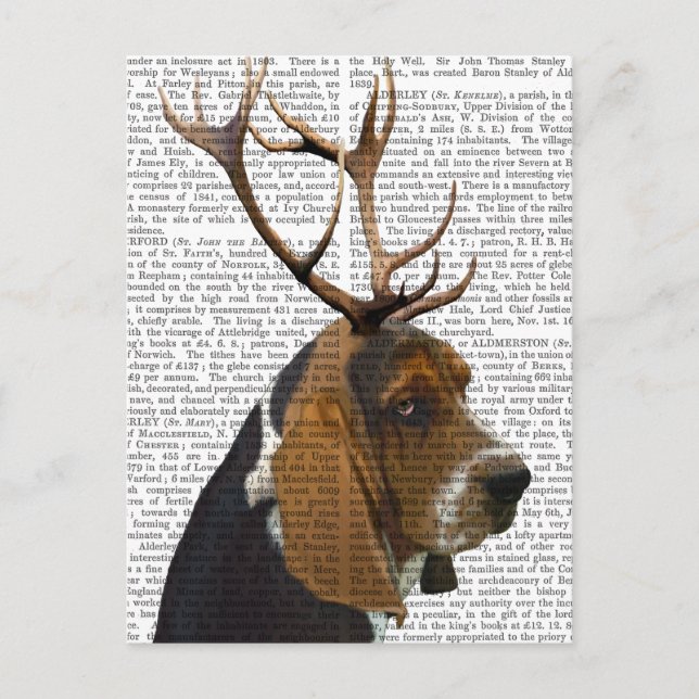 Basset Hound and Antlers Postkarte (Vorderseite)