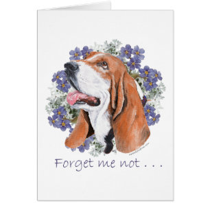 Basset Hound Andenken