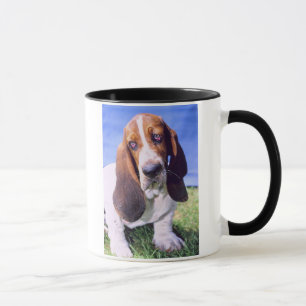 Basset-Hound-Bild Tasse