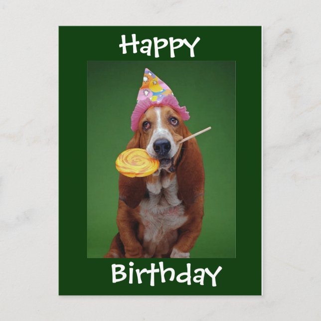 Basset Hound Birthday Lollipop Postkarte (Vorderseite)
