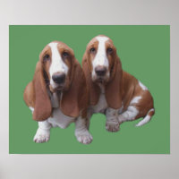 Basset Hound Buddies drucken