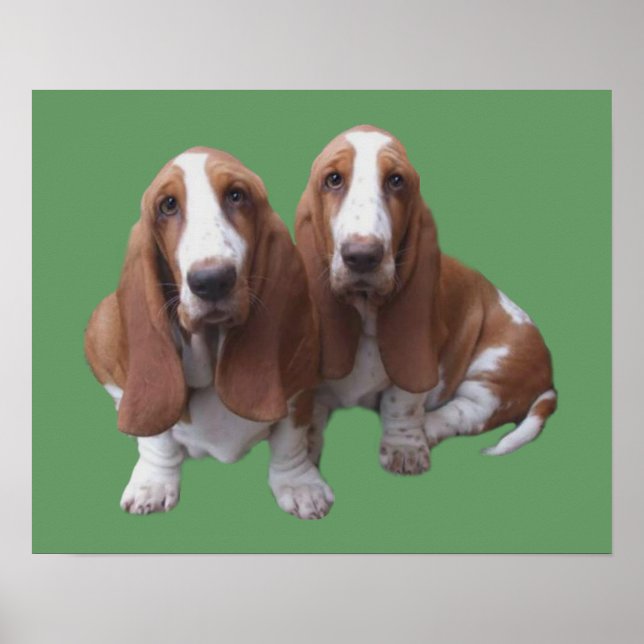 Basset Hound Buddies drucken Poster (Vorne)