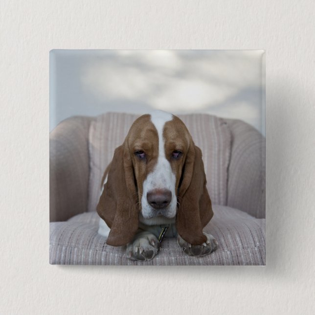 Basset Hound Button (Vorderseite)