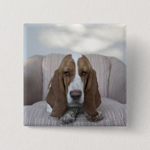 Basset Hound Button