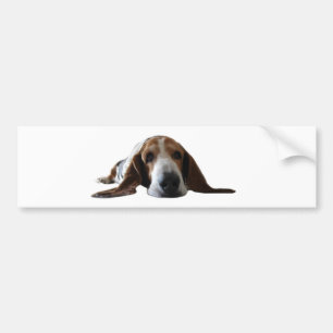 Basset Hound, das sich hinlegt Autoaufkleber