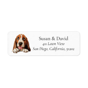 Basset Hound Dog