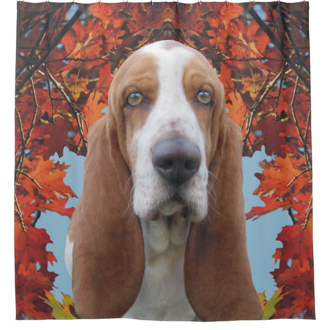 Basset Hound Duschvorhang (Vorderseite)