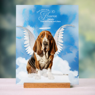 Basset Hound Engel Dog Name Pet Memorial Acrylschild