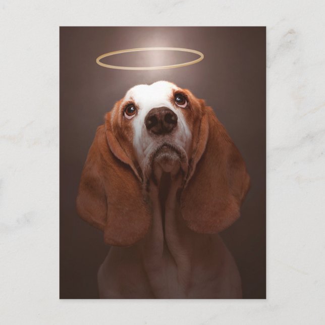 Basset Hound-Engel Postkarte (Vorderseite)