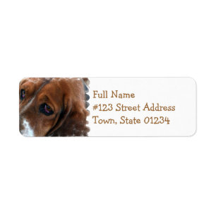 Basset Hound-Entwurfs-Postsendung-Aufkleber