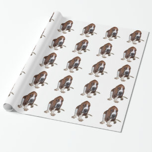 Basset Hound Geschenkpapier