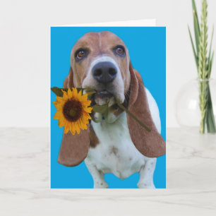 Basset Hound Get Well Card Karte