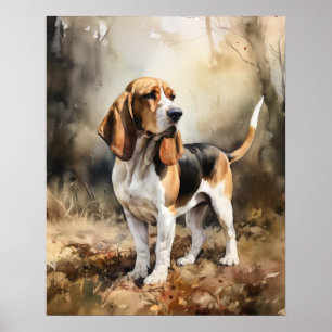 Basset Hound Hund Art Print Poster