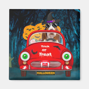 Basset Hound Hund fährt Auto Gruselig Halloween Magnet