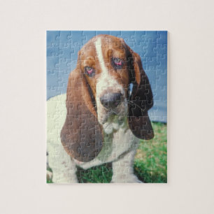 Basset Hound-Hundepuzzlespiel Puzzle