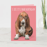 Basset Hound ich sehe, es ist Ihr Geburtstag Sie s