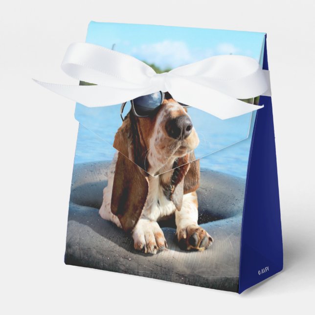 Basset Hound in Sonnenbrille Geschenkschachtel (Vorderseite)
