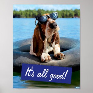 Basset Hound in Sonnenbrille Poster