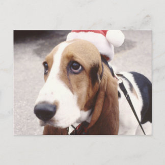Basset Hound in Weihnachtsmannmütze Feiertagspostkarte