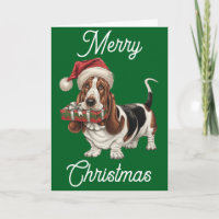 Basset Hound in Weihnachtsmannmütze im Mund