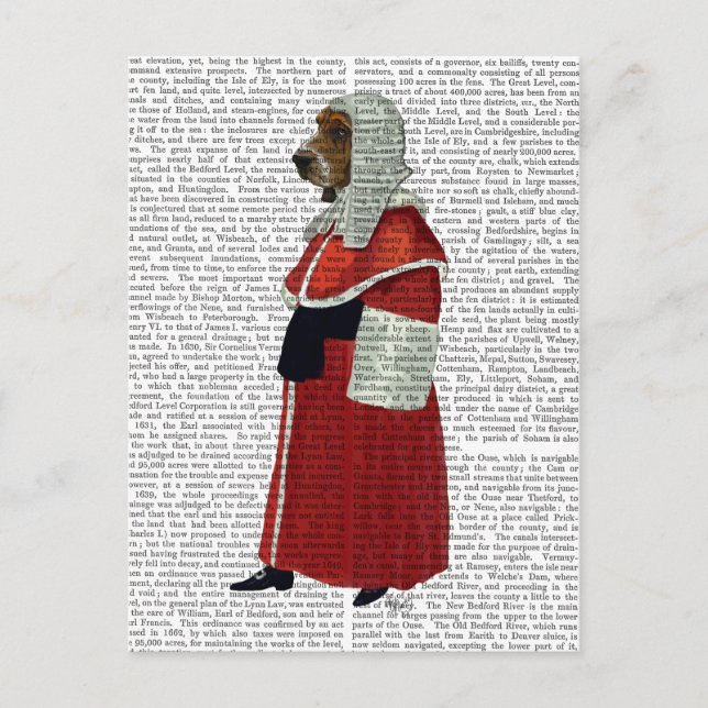 Basset Hound Judge Full Postkarte (Vorderseite)