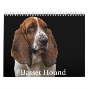Basset-Hound-Kalender Kalender