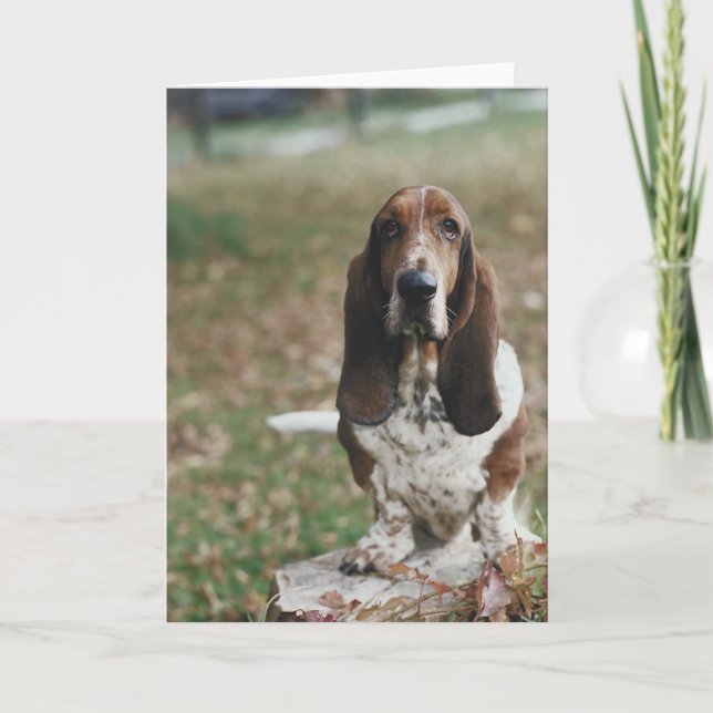 Basset Hound Karte (Vorderseite)