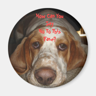 Basset Hound-Magnet Magnet