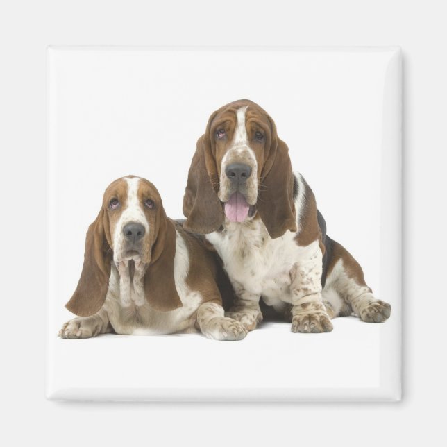 Basset-Hound-Magnet Magnet (Vorne)
