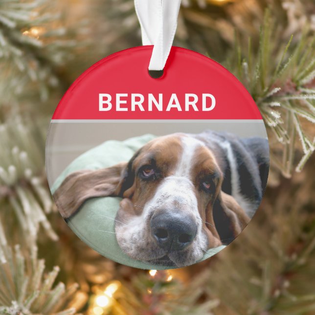 Basset Hound mit dem Namen des Hundes und Fotos We Ornament (Baum)