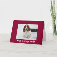 Basset Hound mit traurigem Gesicht witzigen Spaß g