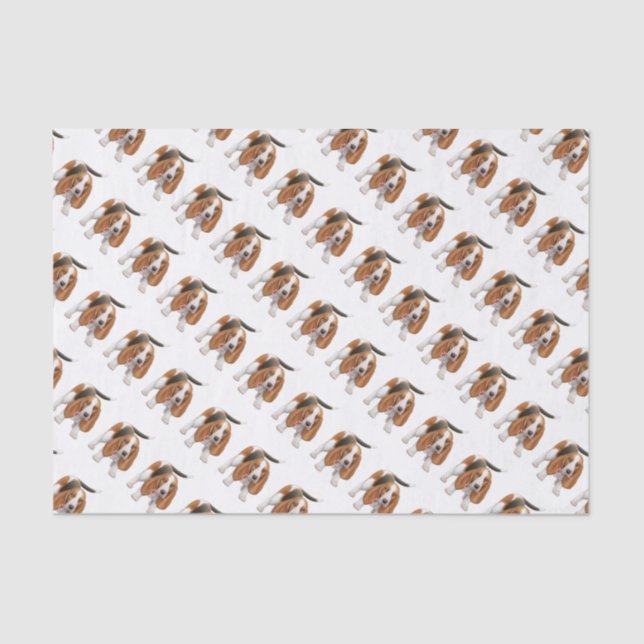 Basset Hound mit Zuckerstange-Seidenpapier Seidenpapier (Vorderseite)