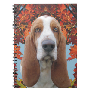 Basset Hound Notizblock