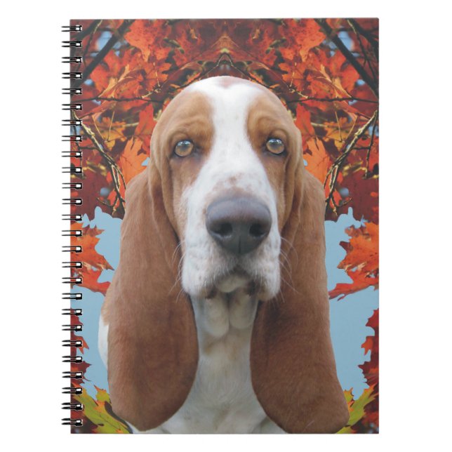 Basset Hound Notizblock (Vorderseite)