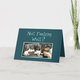 Basset Hound on Funny "Get Well" Card Karte