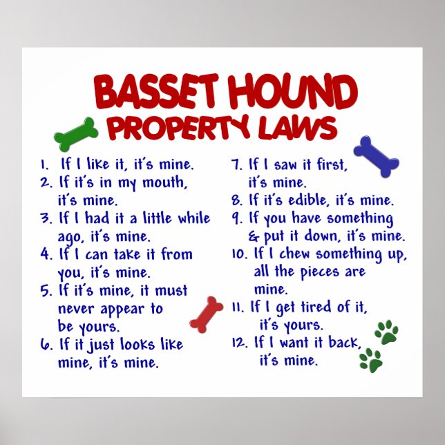 BASSET HOUND PL2 POSTER (Vorne)