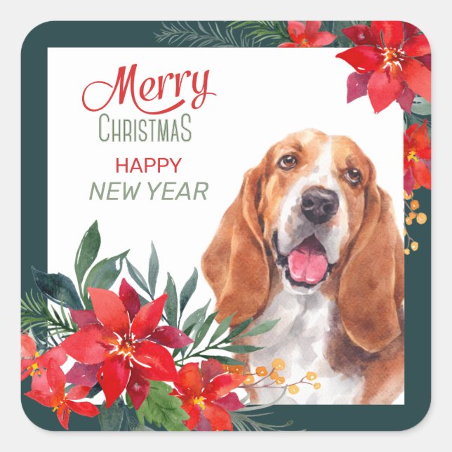 Basset Hound Poinsettia - Weihnachten Quadratischer Aufkleber (Vorderseite)