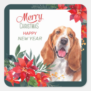 Basset Hound Poinsettia - Weihnachten Quadratischer Aufkleber