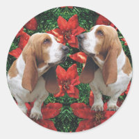 Basset Hound Poinsettia Weihnachten